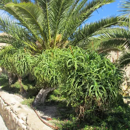 Tango Mango Apartment! Plaza 5 Min, Basen! *