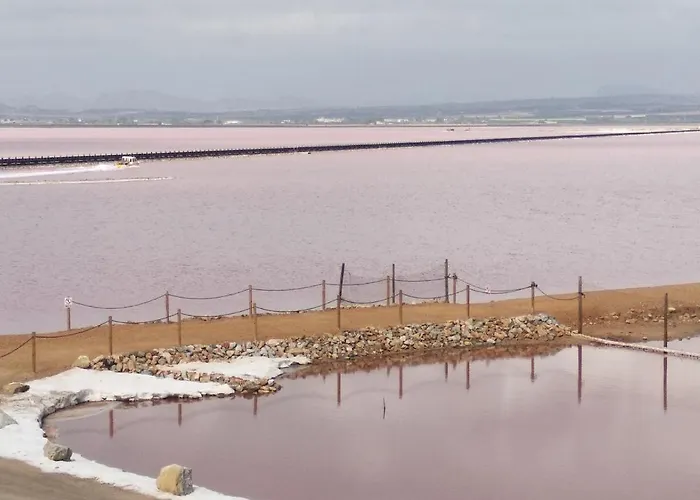 Tango Mango Apartment! Plaza 5 Min, Basen! *